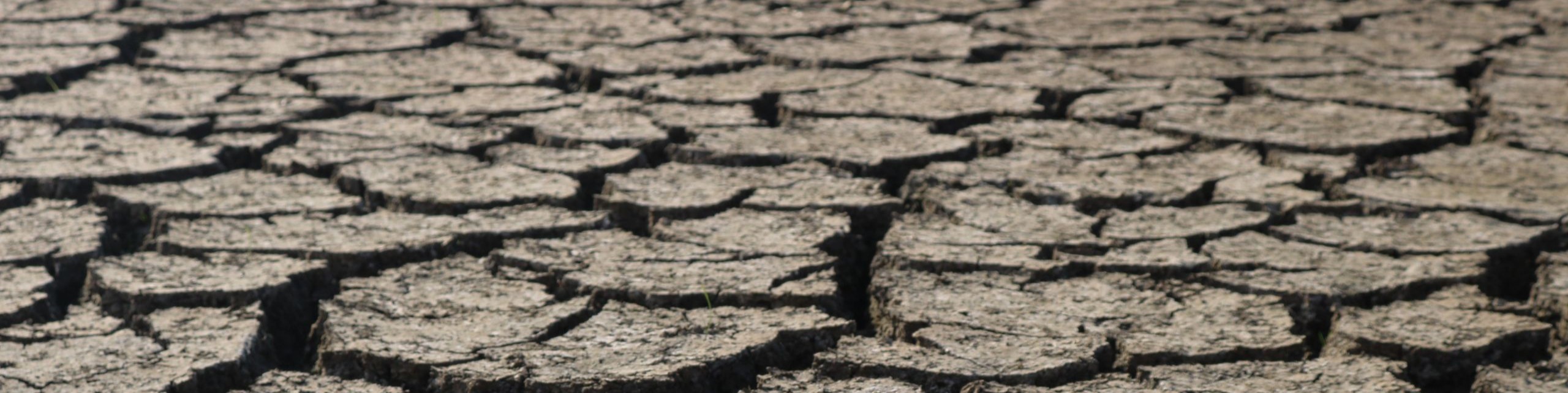 Draught land feyza dastan